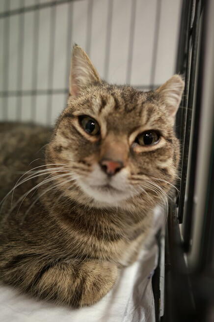 Czy słodką Bunię czeka samotność?