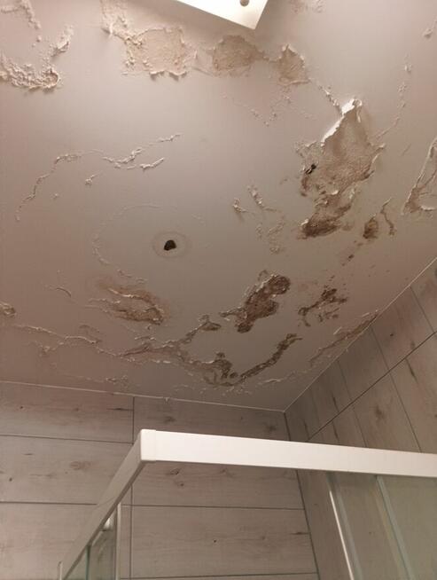 Wyprzedaz-sprzet ,ogrodowy, kuchenny,dekoracje