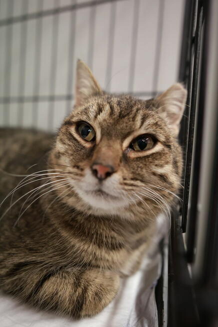 Czy słodką Bunię czeka samotność?