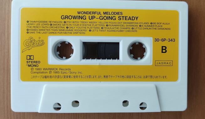 Wonderful Melodies: Growing Up - Going Steady Epic/Sony kase