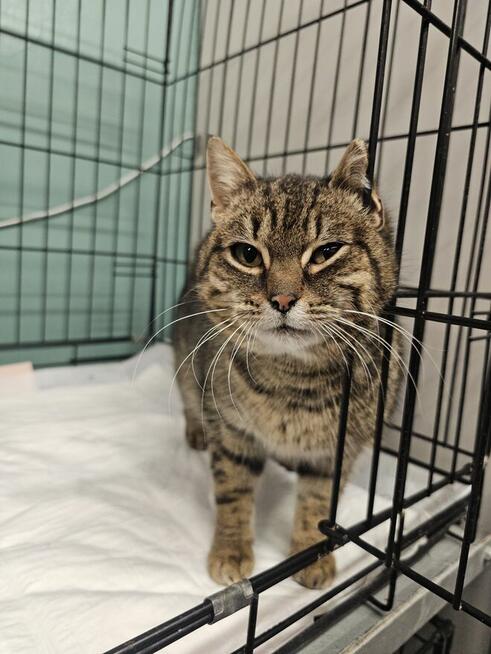 Czy słodką Bunię czeka samotność?