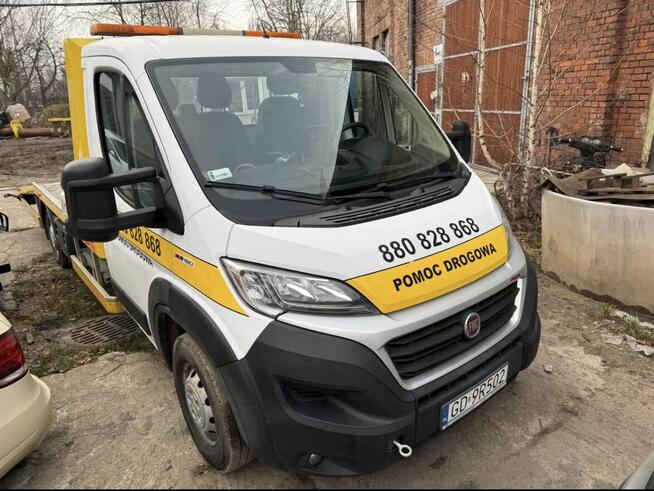 Sprzedam lawete Salon Polska