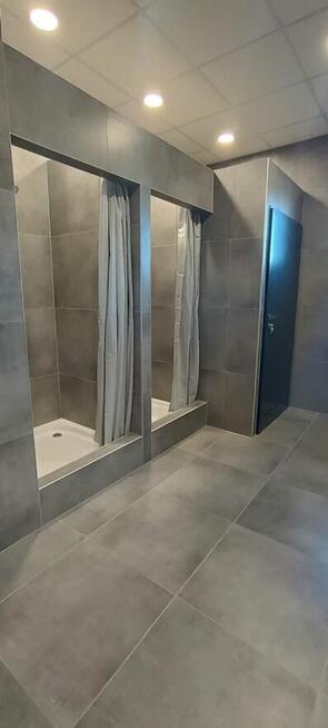 Hala/ magazyn/logistyka/DK94 2000m2