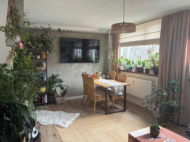 Mieszkanie Bielsko Biała 54m 3p - Super stan po remoncie