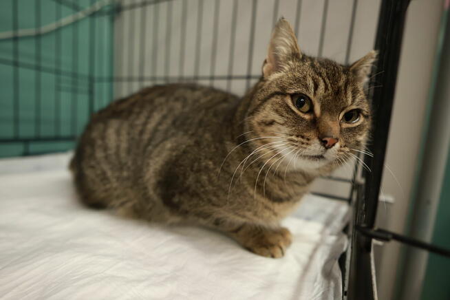 Czy słodką Bunię czeka samotność?