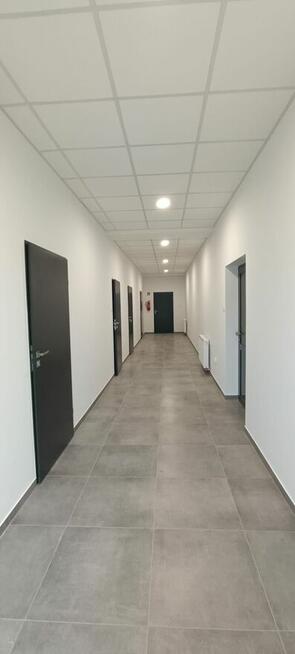 Hala/ magazyn/logistyka/DK94 2000m2