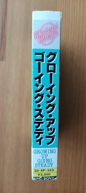 Wonderful Melodies: Growing Up - Going Steady Epic/Sony kase