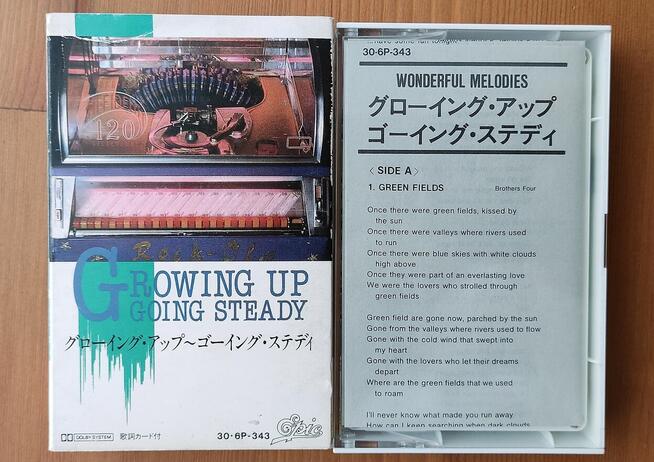 Wonderful Melodies: Growing Up - Going Steady Epic/Sony kase