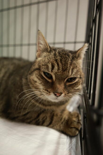 Czy słodką Bunię czeka samotność?