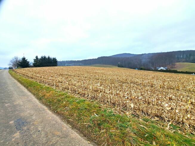 Działka widokowa 41,89 ar z warunkami zabudowy Srogów Grn.