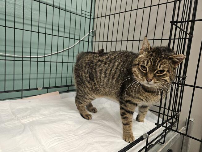 Czy słodką Bunię czeka samotność?