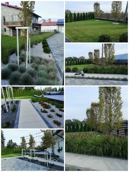 Zakładanie ogrodów, kompleksowe usługi ogrodnicze.