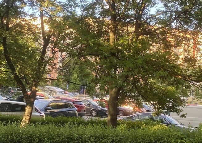 Wynajmę duży pokój 2-osobowy – Wrocław, ul. Orzechowa