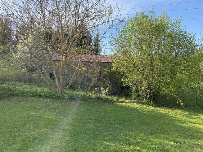 Sprzedam lub wynajmę siedlisko z dużą działką