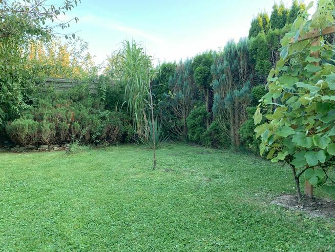 Sprzedam działkę rekreacyjną ROD na ulicy Opawskiej