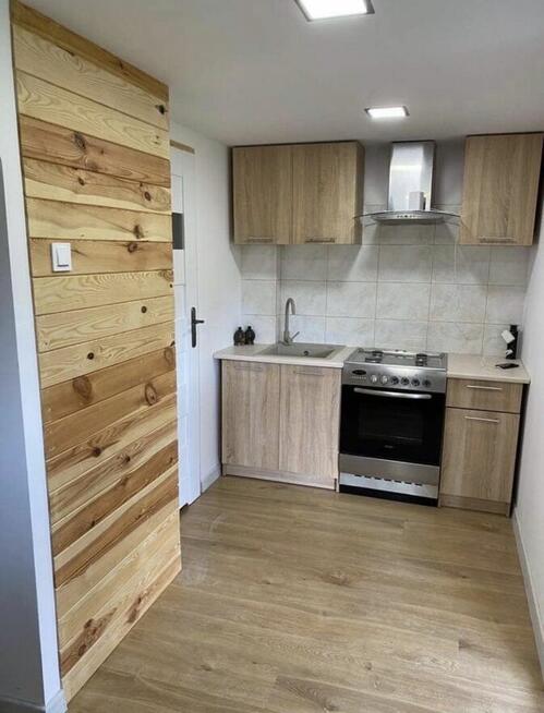 Działka ROD PALUCH 300 m2 z całorocznym domkiem