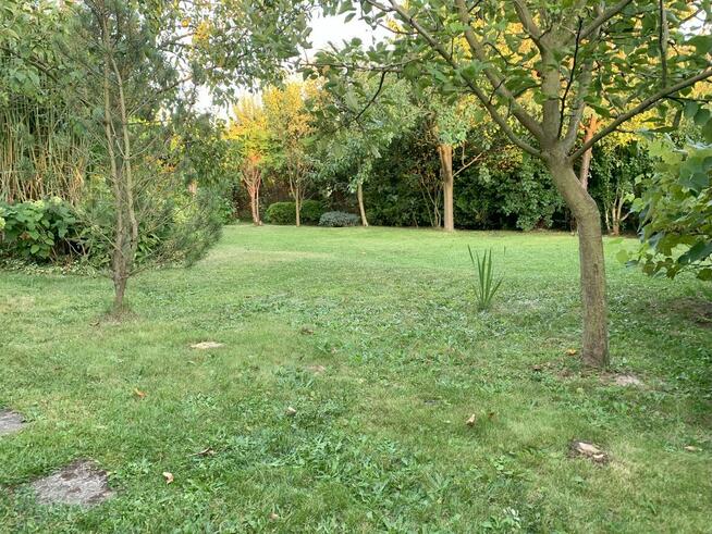 Sprzedam działkę rekreacyjną ROD na ulicy Opawskiej