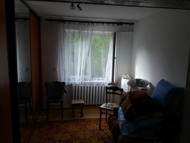 Sprzedam lub wynajmę siedlisko z dużą działką