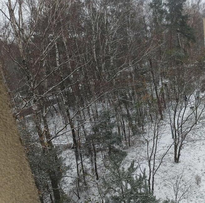 Łódź na Darłowo lub okolice