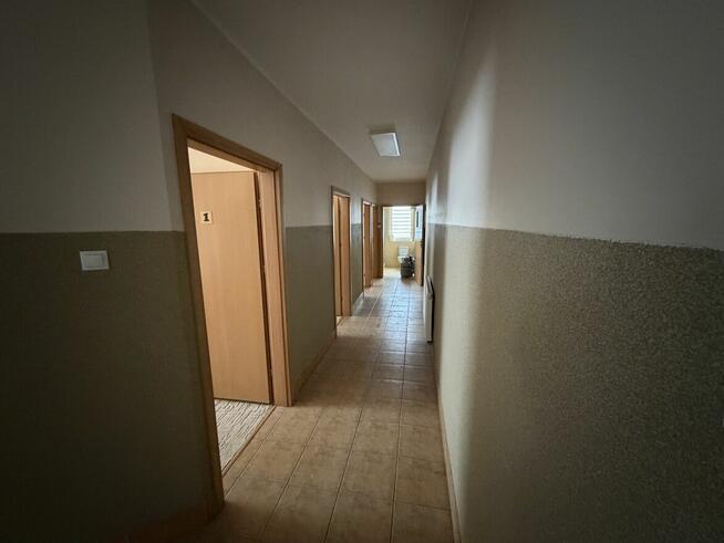 Lokal pod biuro lub usługi