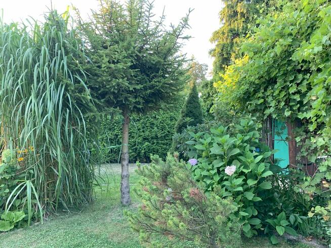 Sprzedam działkę rekreacyjną ROD na ulicy Opawskiej