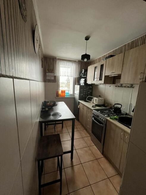 Do wynajęcia mieszkanie, ul. Rybnicka 70 - 48 m2 - 2 pokoje