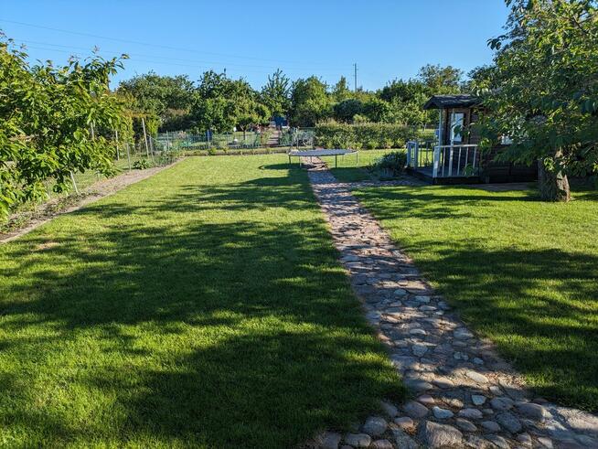 Działka ROD, Witkowo