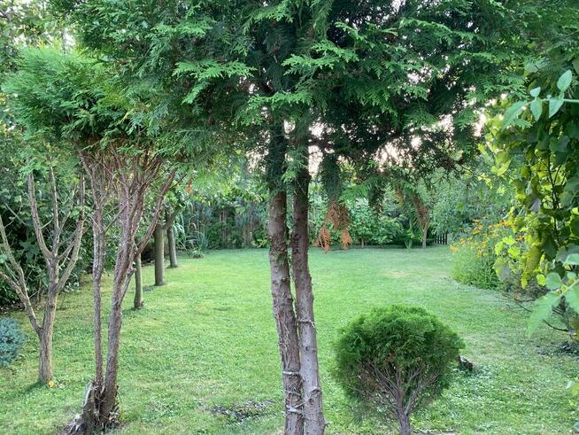 Sprzedam działkę rekreacyjną ROD na ulicy Opawskiej