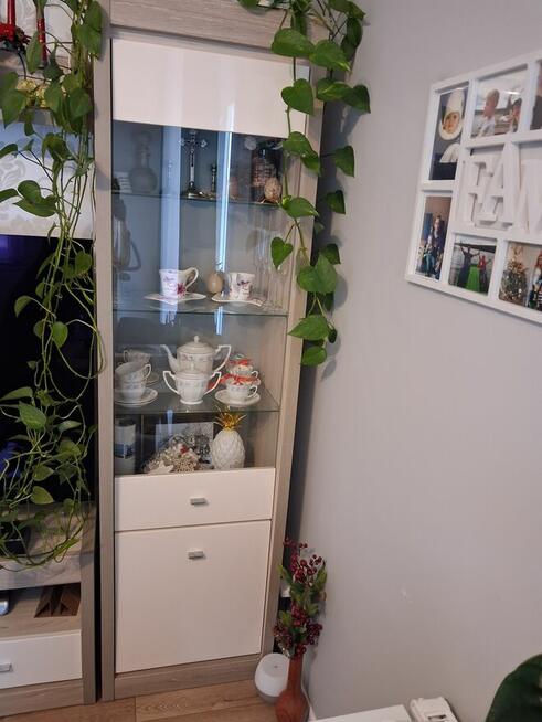 Zestaw mebli do salonu