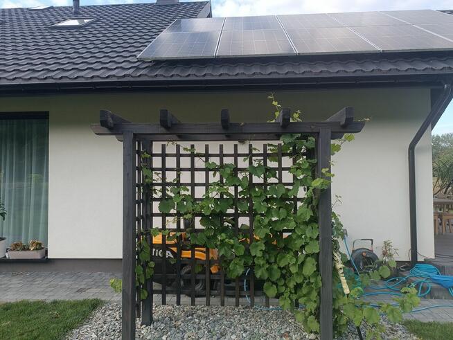 Taras drewniany, zadaszenie tarasu, architektura ogrodowa