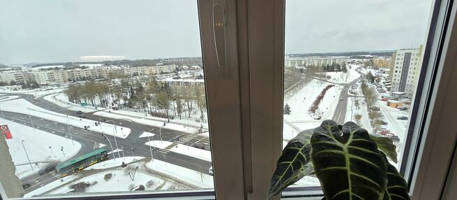 Kawalerka 30 m² z komórką 4m2 po remoncie - bezpośrednio