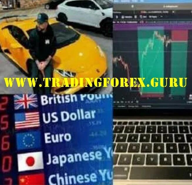 Dochód Pasywny Robot Forex Codziennie Zarabia Stabilnie