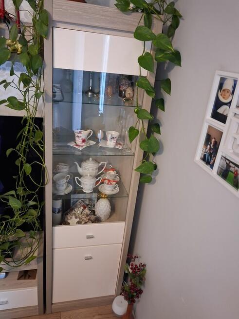 Zestaw mebli do salonu