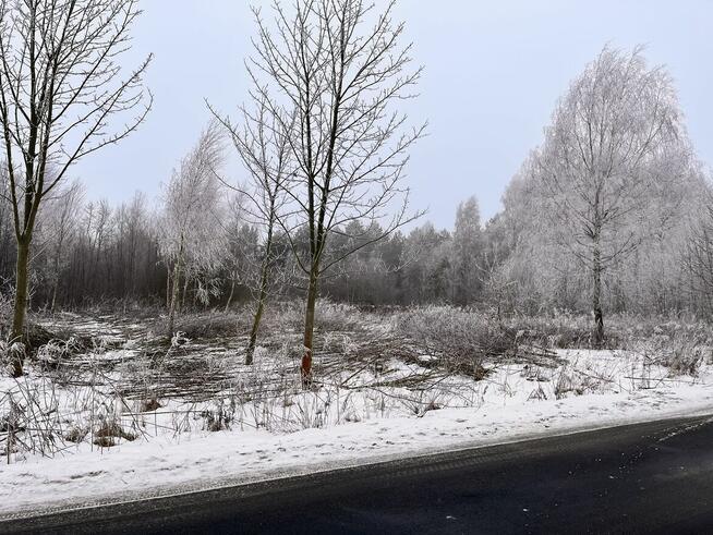 Teren inwestycyjny 6,95 HA – 16 działek – GMINA DŁUTÓW