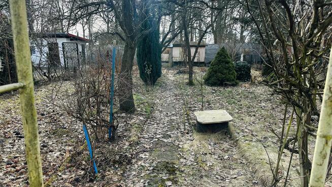 Działka ROD 308 m2 z potencjałem – Poznań, ul. Wspólna