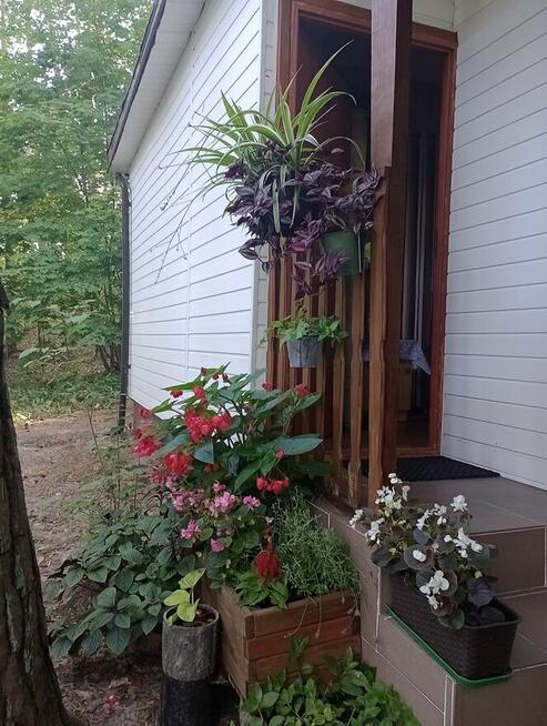 Sprzedam domek letniskowy