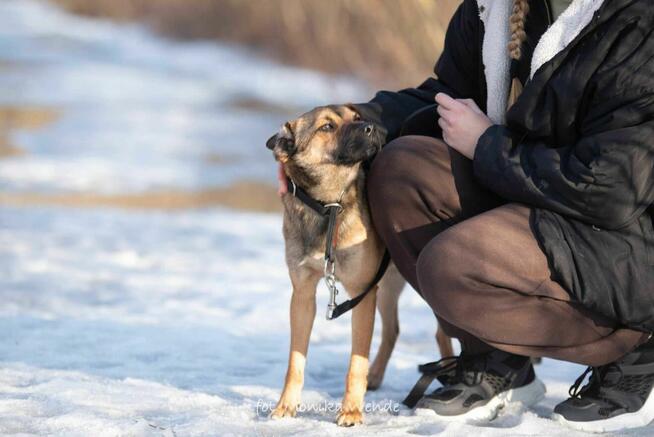 Koralik czeka na wymarzony dom