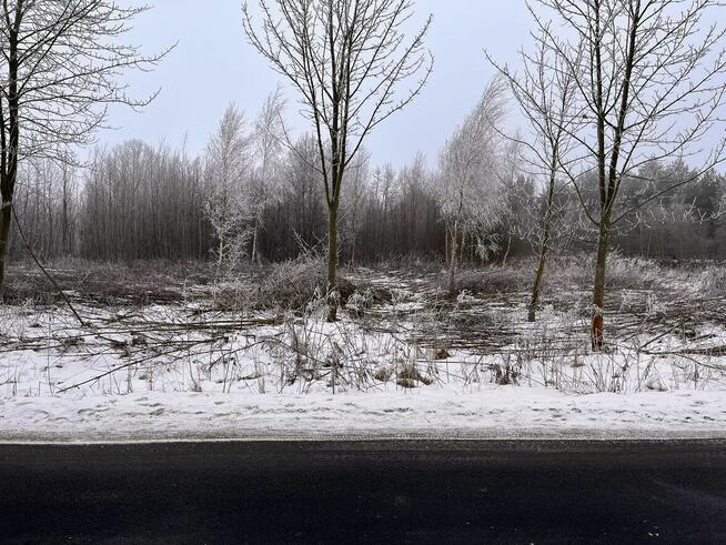 Teren inwestycyjny 6,95 HA – 16 działek – GMINA DŁUTÓW