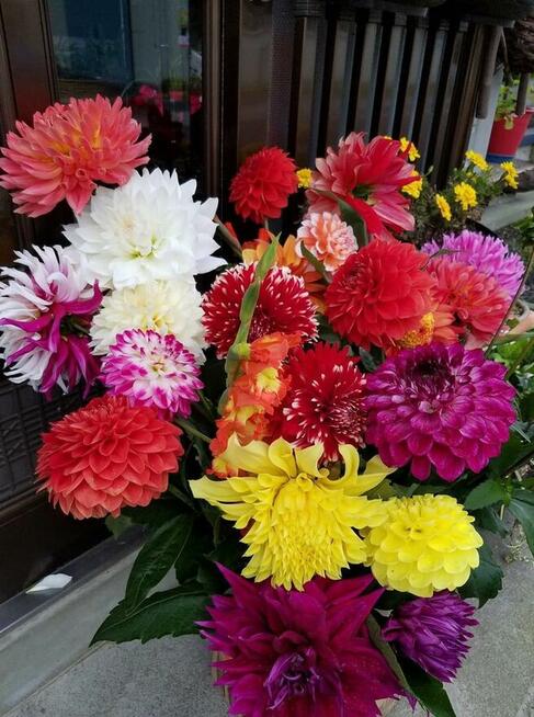 Szukam uczciwej i miłej kobiety, z którą mógłbym stworzyć wi