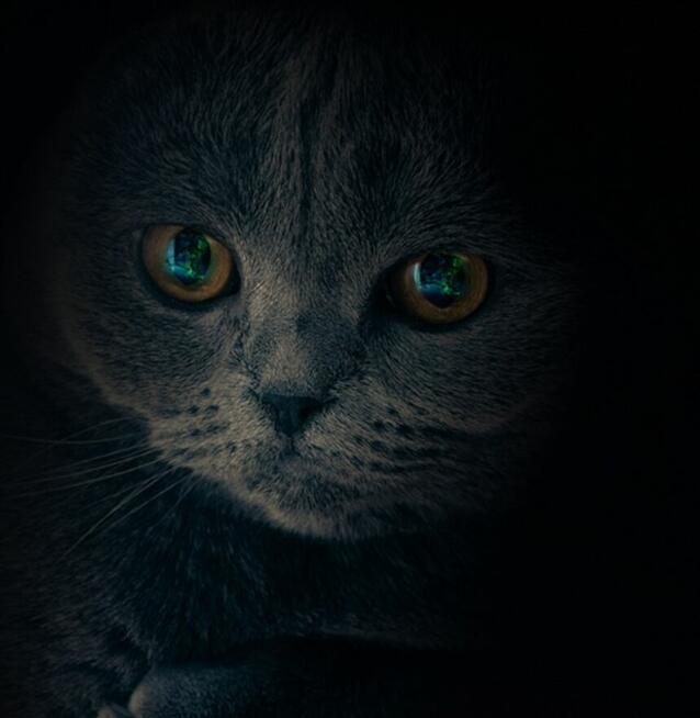 szukam zleceń IT - strony www, małe kampanie, pisanie, logo