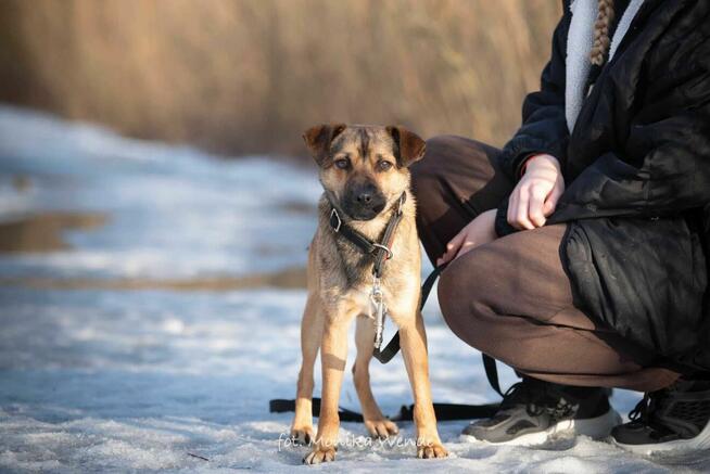 Koralik czeka na wymarzony dom