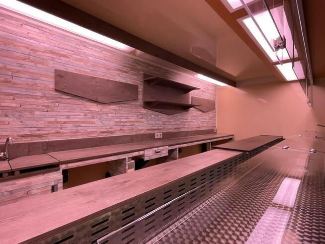 Fiat Ducato Autosklep wędlin Gastronomiczna food truck foodtruck sklep bar 2014