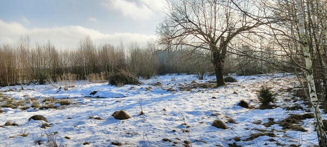 Działka inwestycyjna Kowalewo gm. Szemud, Wiśniowa
