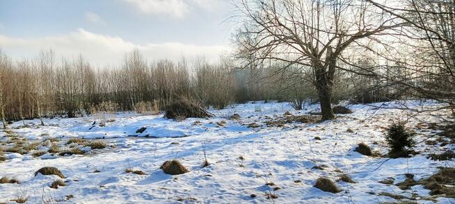 Działka inwestycyjna Kowalewo gm. Szemud, Wiśniowa