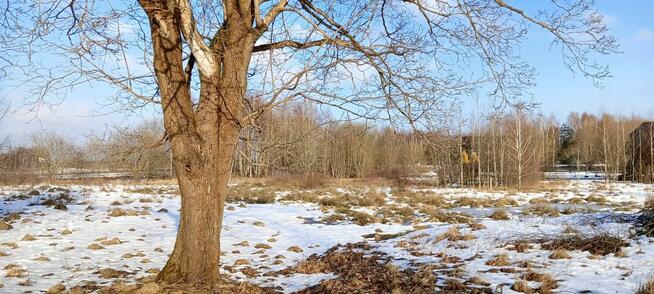 Działka inwestycyjna Kowalewo gm. Szemud, Wiśniowa