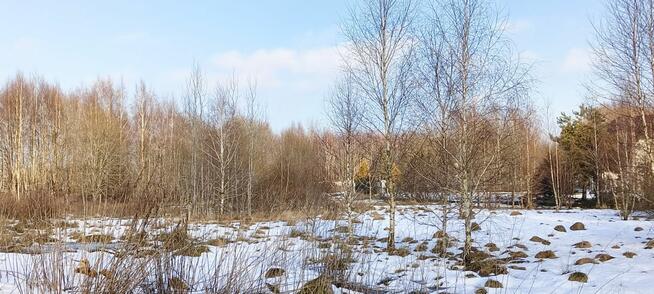 Działka inwestycyjna Kowalewo gm. Szemud, Wiśniowa