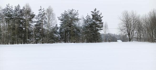 Działka budowlana Donimierz gm. Szemud, Piekiełko