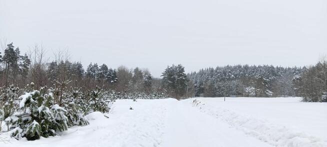 Działka budowlana Donimierz gm. Szemud, Piekiełko