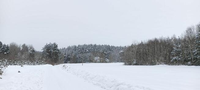 Działka budowlana Donimierz gm. Szemud, Piekiełko