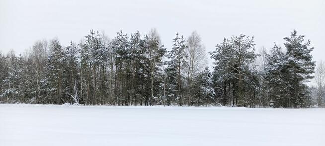 Działka budowlana Donimierz gm. Szemud, Piekiełko